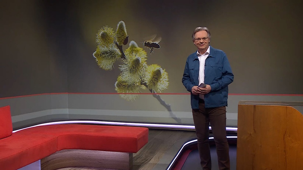 Charly Hilpert moderiert die Frankenschau aktuell am 29.Februar. | Bildquelle: BR