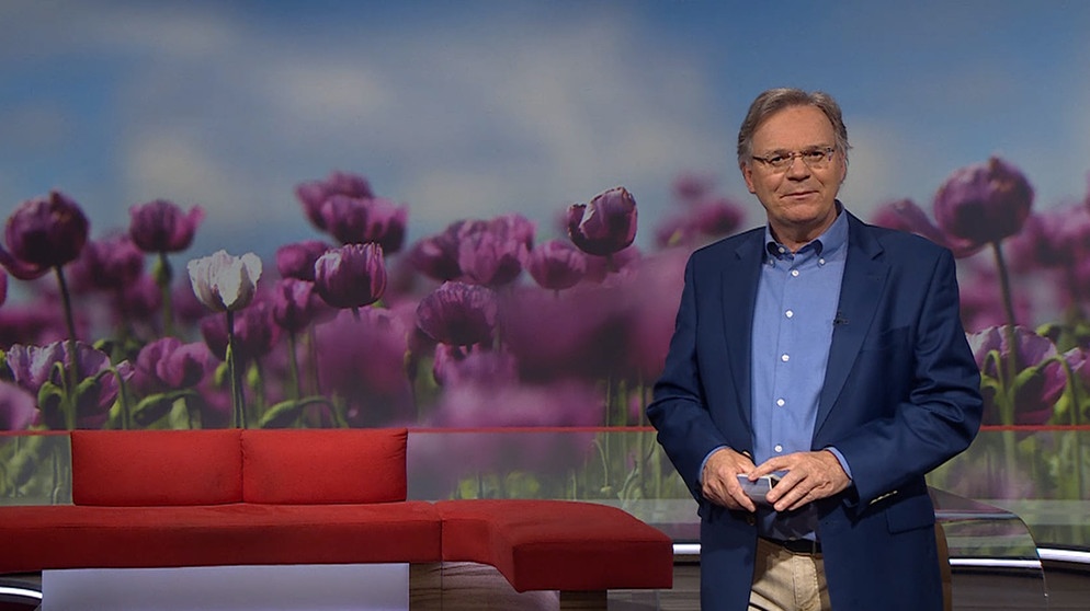 Charly Hilpert moderiert die Frankenschau aktuell am 27.Mai. | Bildquelle: BR