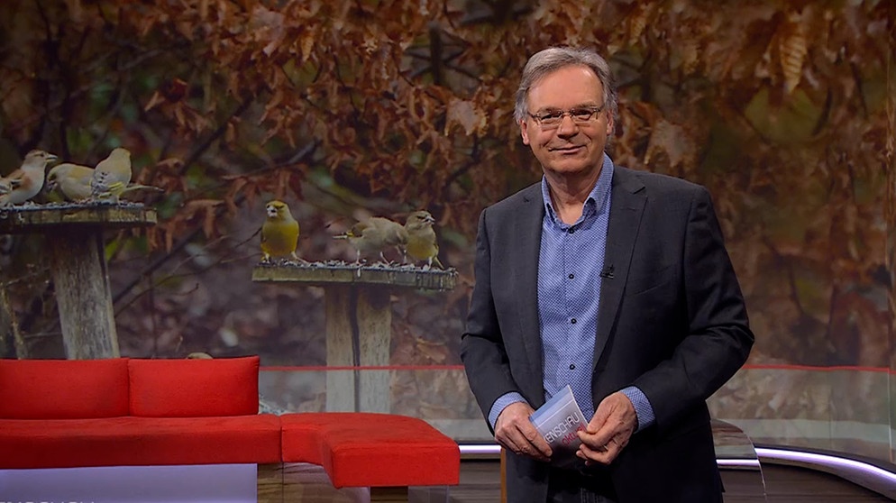 Charly Hilpert moderiert die Frankenschau aktuell. | Bildquelle: BR