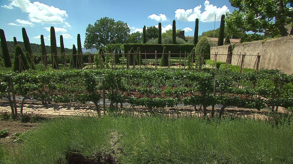 Château Val Joanis | Bildquelle: BR
