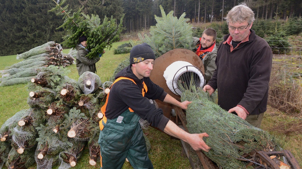 Christbaum einpacken | Bildquelle: Picture alliance/dpa