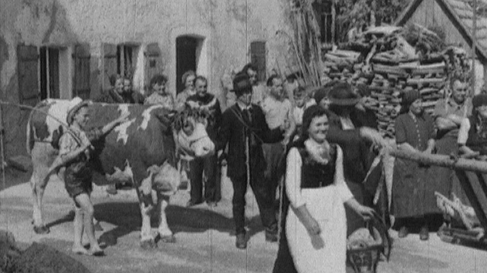 Hochzeitskuh mit Hochzeitsgesellschaft, Bayerischer Wald | Bildquelle: BR/
