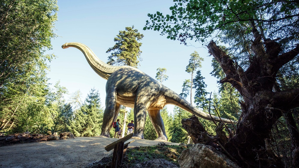 Dinosaurier - Brachiosaurus im Dinopark Altmühltal | Bildquelle: Dinosaurier-Park Altmühltal