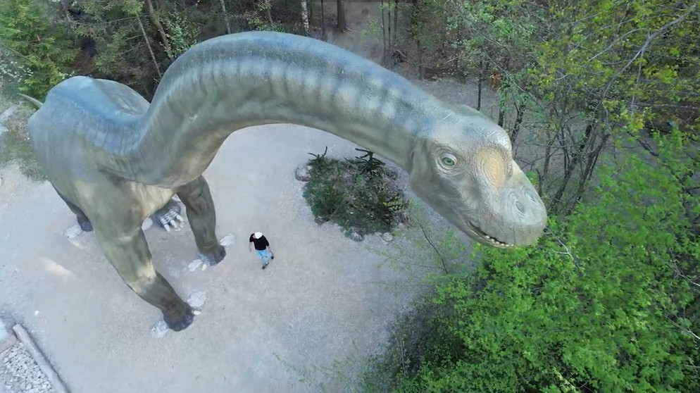Jason Giuranna schaut sich einen Brachiosaurus an | Bildquelle: BR