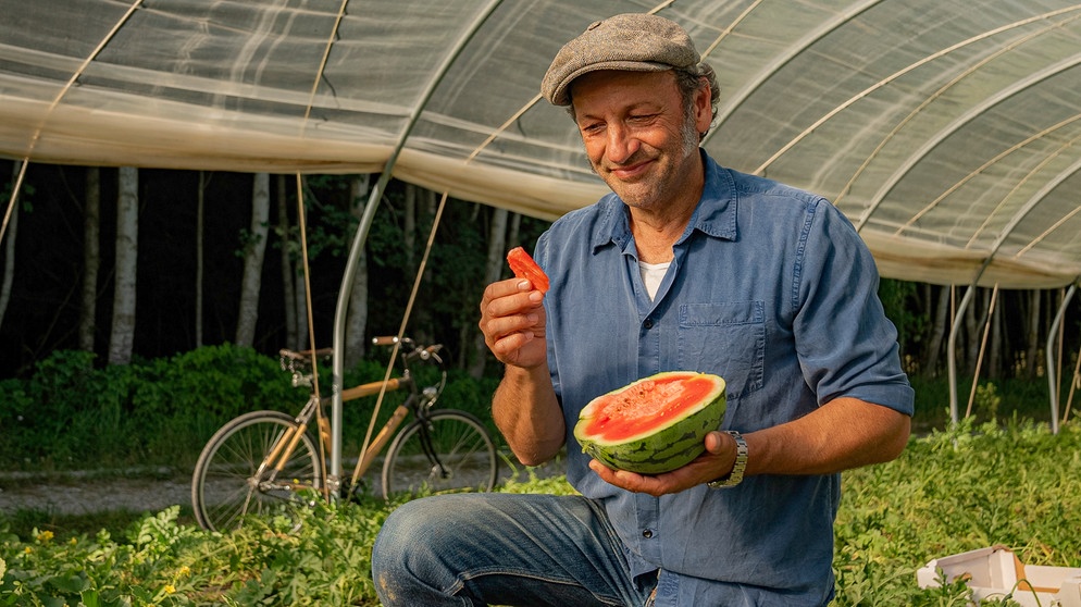 Exotisches Obst aus Bayern - Max bei der Melonenernte  | Bildquelle: BR/André Goerschel
