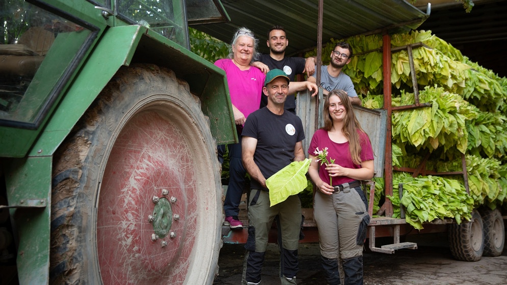 Damals bei der Ernte - und heute: Fam. Bub baut auf 75 Hektar noch andere Sonderkulturen an wie BioÄpfel und BioBirnen, Haselnüsse, Holunder und Spargel | Bildquelle: BR/Daniel Samer