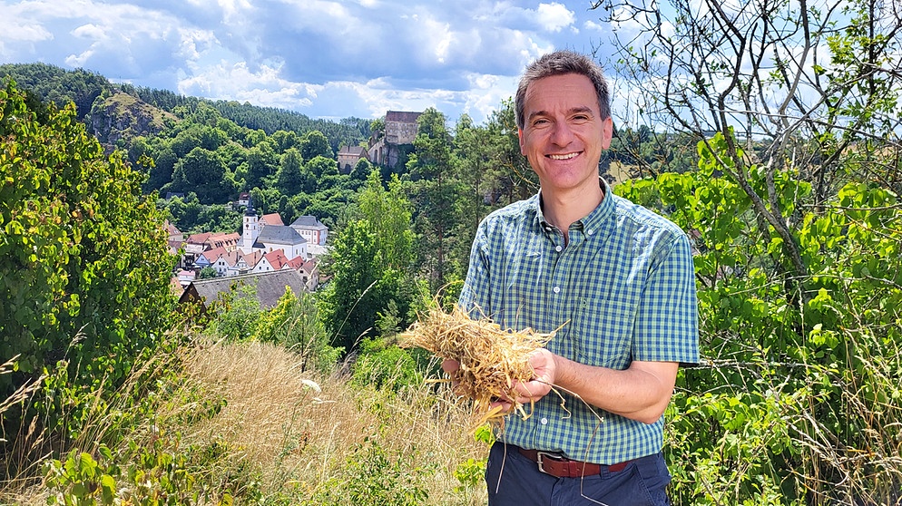Florian Schrei, Moderator der Magazinsendung "Zwischen Spessart und Karwendel" | Bildquelle: BR