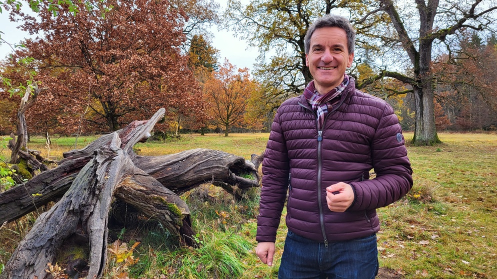 Florian Schrei, Moderator der Sendung "Zwischen Spessart und Karwendel" im BR Fernsehen | Bildquelle: BR / Kathrin Lindauer