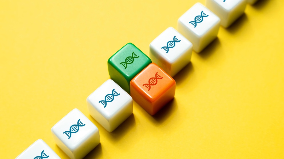 Gentechnik (Symbolbild) | Bildquelle: picture alliance / Zoonar / Andrii Yalanskyi