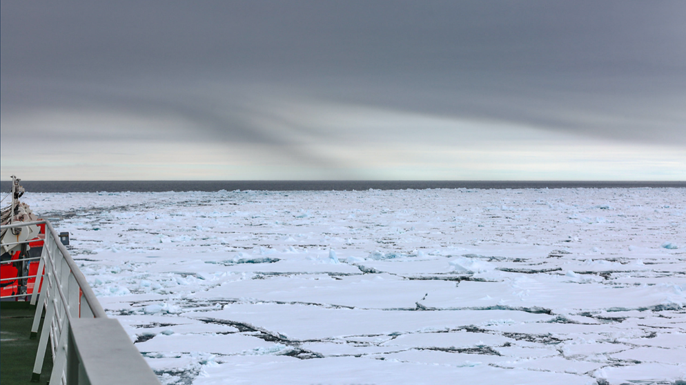 Forschungsschiff Polarstern an der Grenze zwischen Packeis und offenem Wasser. | Bildquelle: Lisa Grosfeld