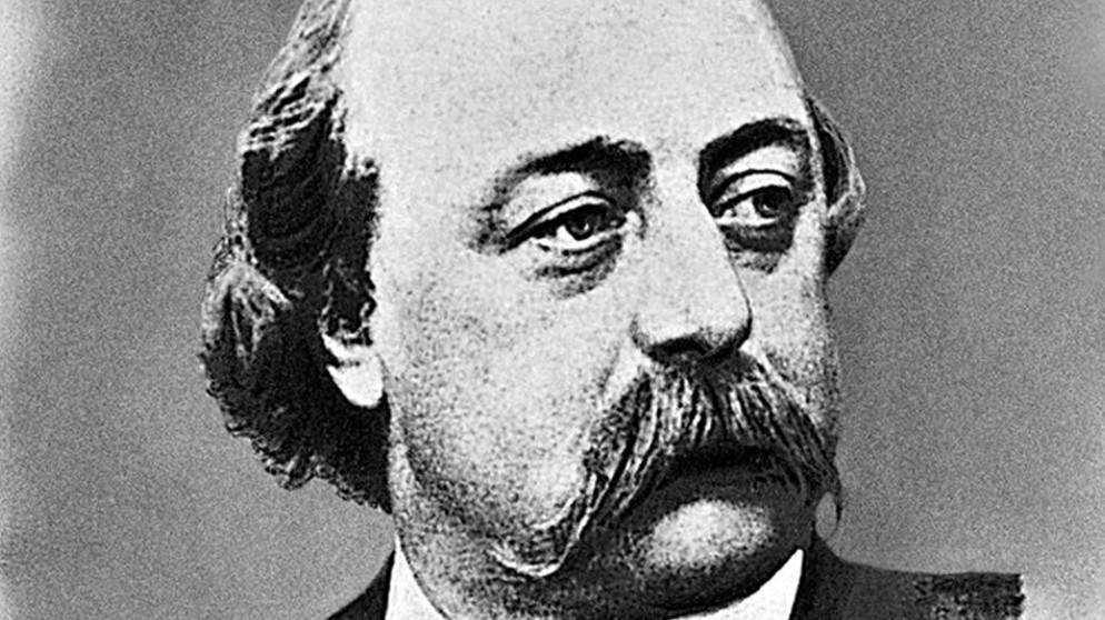 Gustave Flaubert | Bildquelle: picture-alliance/dpa