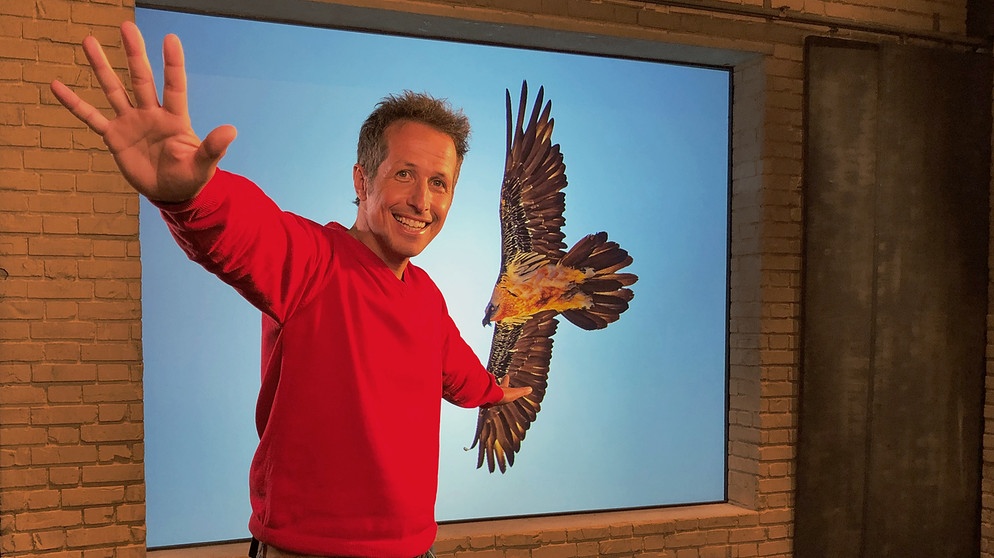 Willi Weitzel mit ausgestreckten Armen. Im Hintergrund ein Bild von einem Bartgeier.  | Bildquelle: BR/Gut zu wissen