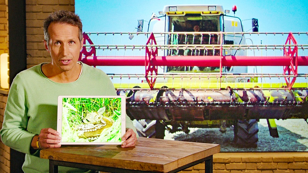 "Gut zu wissen"-Moderator Willi Weitzel stellt neue Rettungsversuche für Rehkitze vor.  | Bildquelle: BR/Gut zu wissen