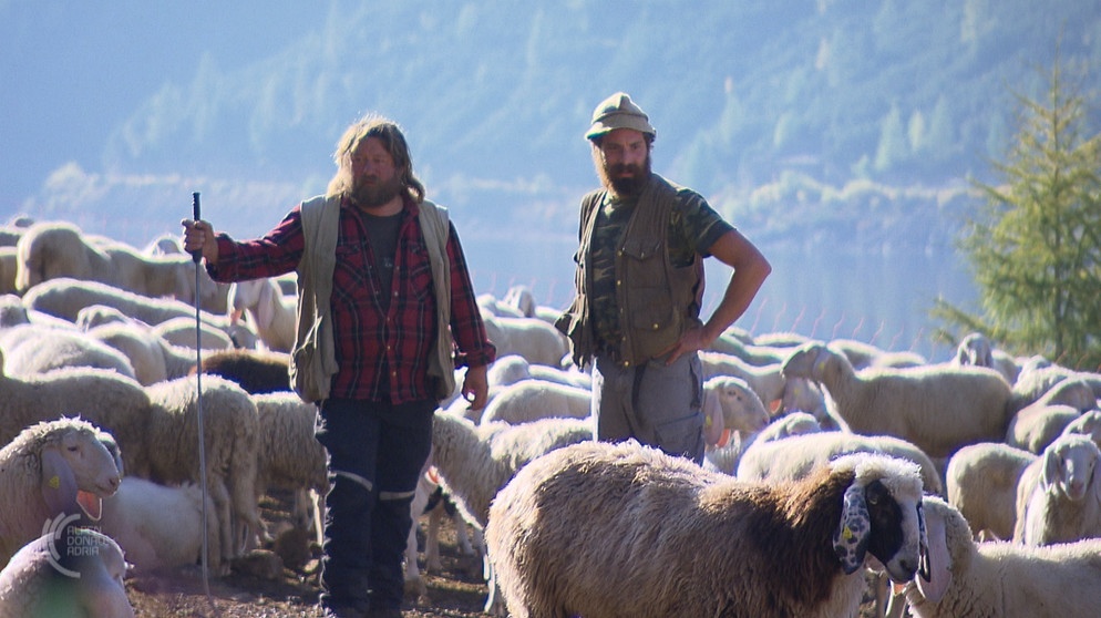 Zwei Hirten mit ihren Schafen an einem See in den Bergen | Bildquelle: Rai Südtirol / Marco Polo