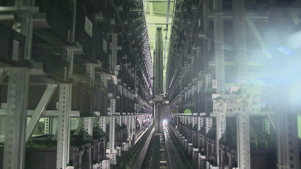 Roboter in Fabrik | Bildquelle: BR