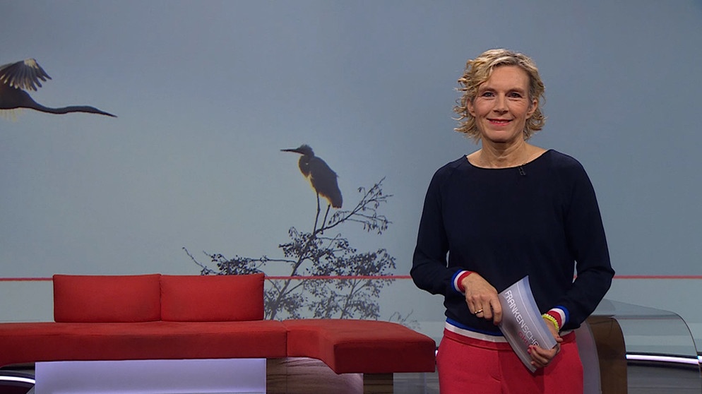 Julia Büchler moderiert die Frankenschau aktuell. | Bildquelle: BR