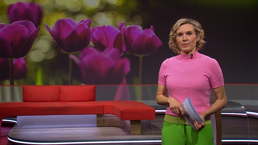Julia Büchler moderiert die Frankenschau aktuell. | Bildquelle: BR