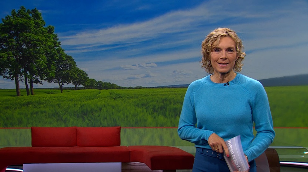 Julia Büchler moderiert die Frankenschau aktuell am 17.Mai. | Bildquelle: BR