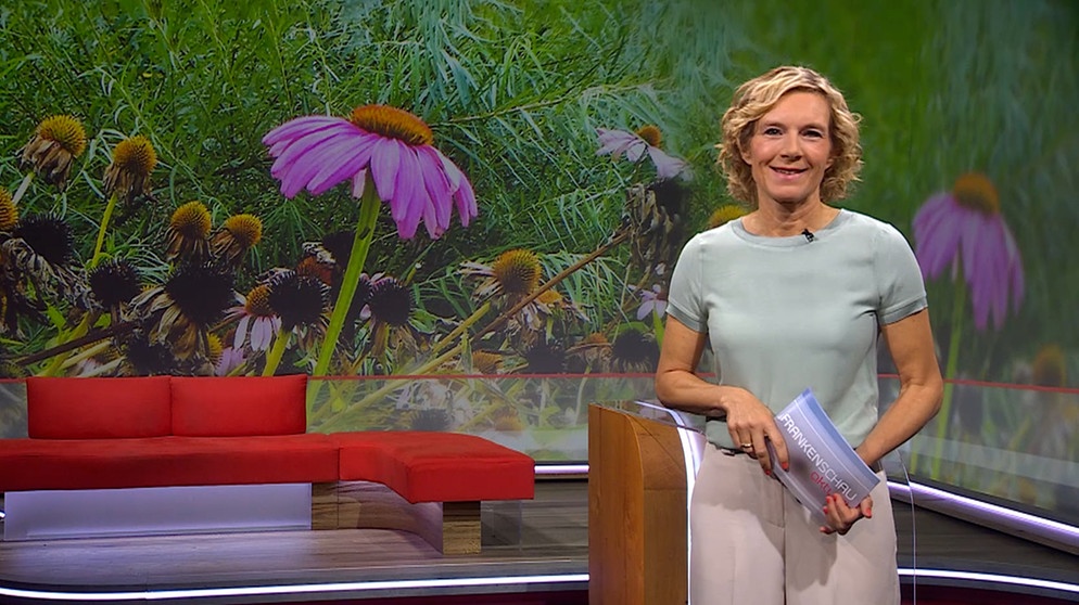 Julia Büchler moderiert die Frankenschau aktuell. | Bildquelle: BR
