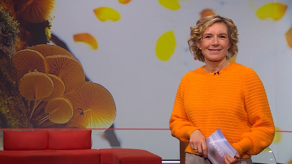 Julia Büchler moderiert die Frankenschau aktuell. | Bildquelle: BR