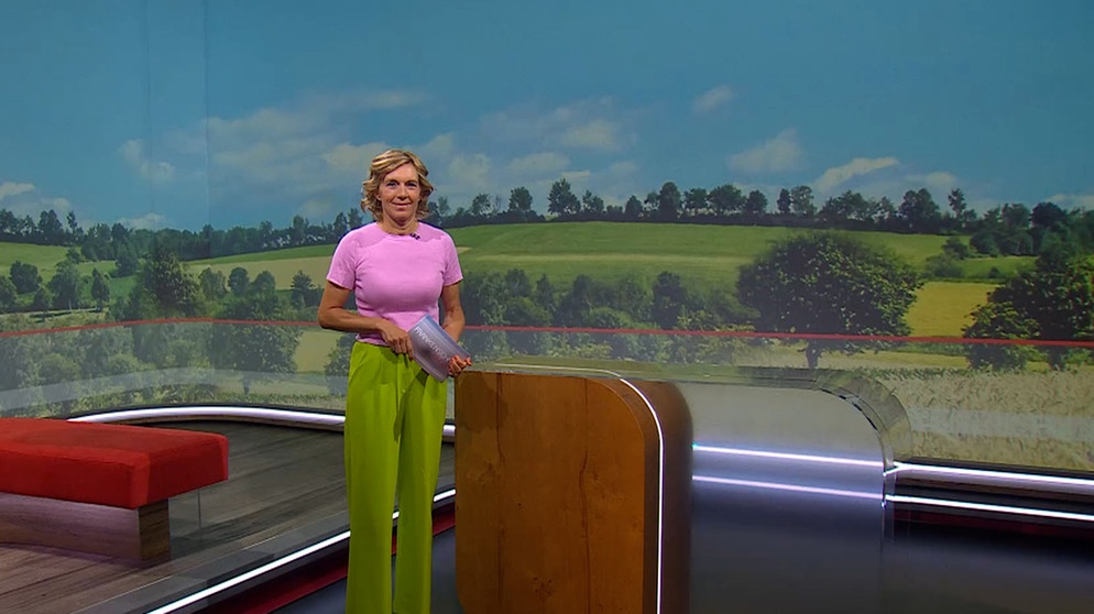 Julia Büchler moderiert die Frankenschau aktuell am 15.Juli. | Bildquelle: BR
