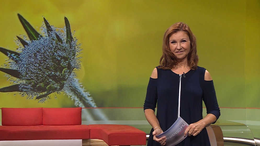 Karin Schubert moderiert die Frankenschau aktuell. | Bildquelle: BR