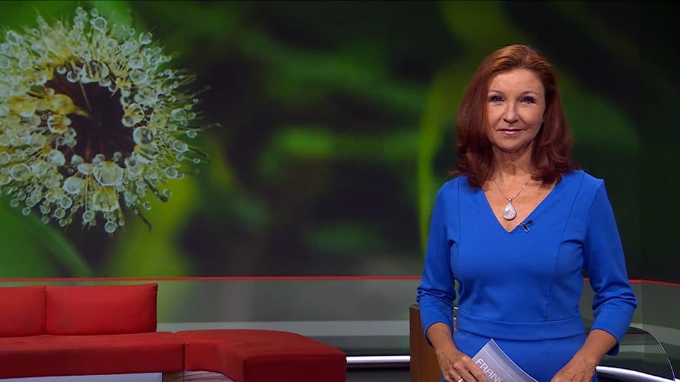 Moderatorin Karin Schubert in der Frankenschau aktuell vom 07. November | Bildquelle: BR