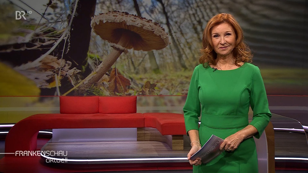 Karin Schubert moderiert die Frankenschau aktuell. | Bildquelle: BR