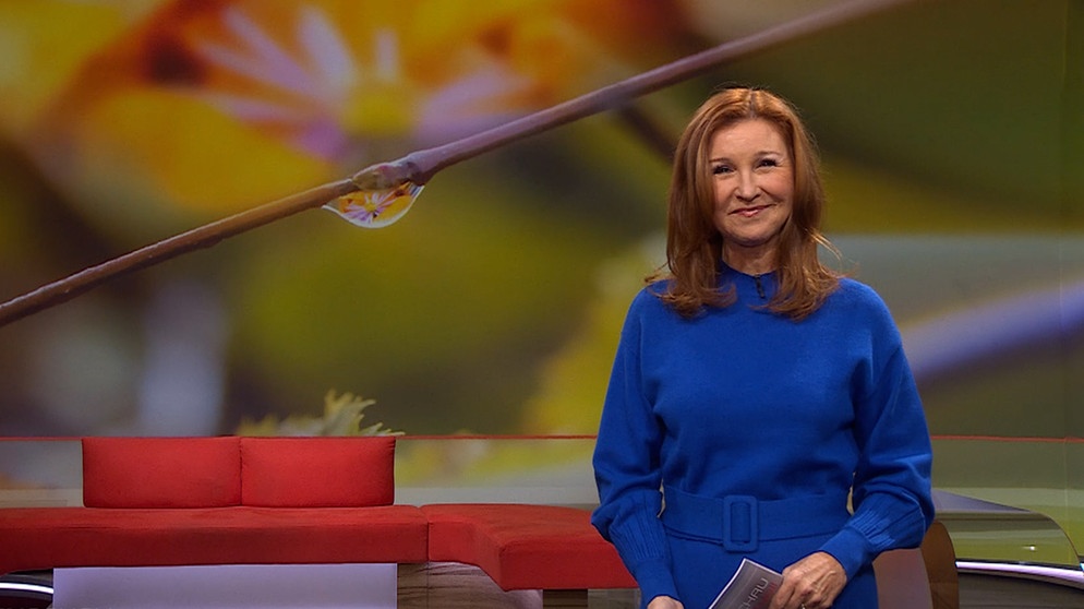 Karin Schubert moderiert die Frankenschau aktuell | Bildquelle: BR