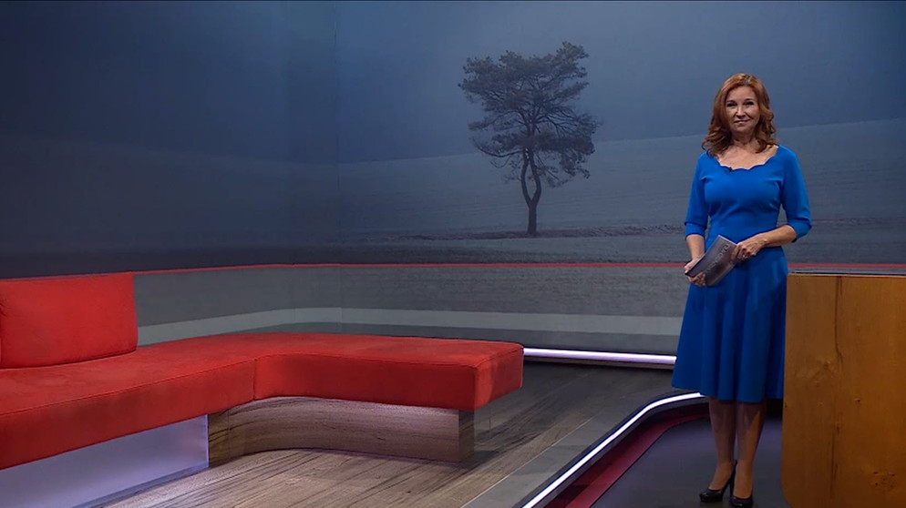 Karin Schubert moderiert die Frankenschau aktuell. | Bildquelle: BR