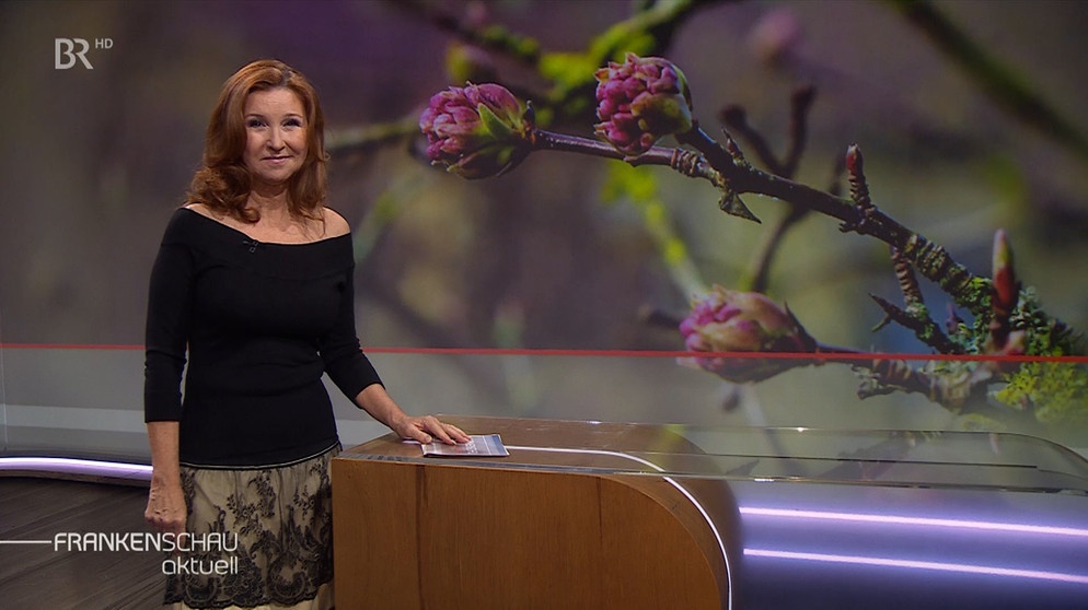 Karin Schubert moderiert die Frankenschau aktuell am 15.Februar. | Bildquelle: BR