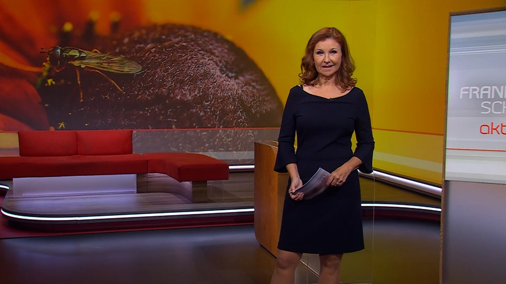 Karin Schubert moderiert die Frankenschau aktuell am 04.Juli. | Bildquelle: BR