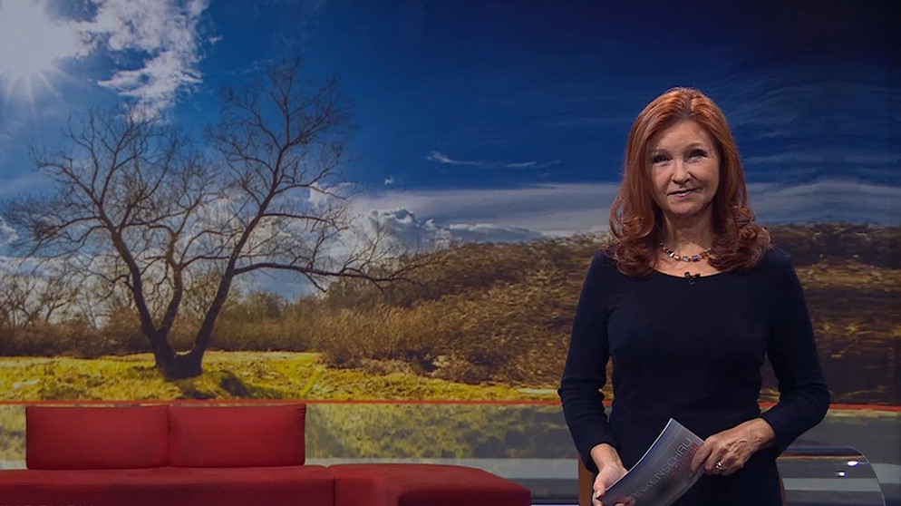 Karin Schubert moderiert die Frankenschau aktuell. | Bildquelle: BR