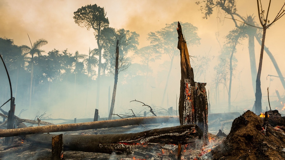 Brennende Wälder als Anzeichen für den fortschreitenden Klimawandel, die größte Herausforderung der Gesellschaft.  | Bildquelle: dpa-Bildfunk/CosmosDirekt