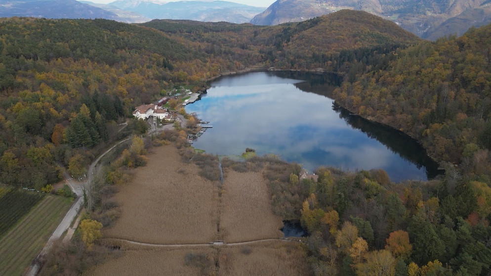 Lebensraum Feuchtgebiet
| Bildquelle: RAI Südtirol 