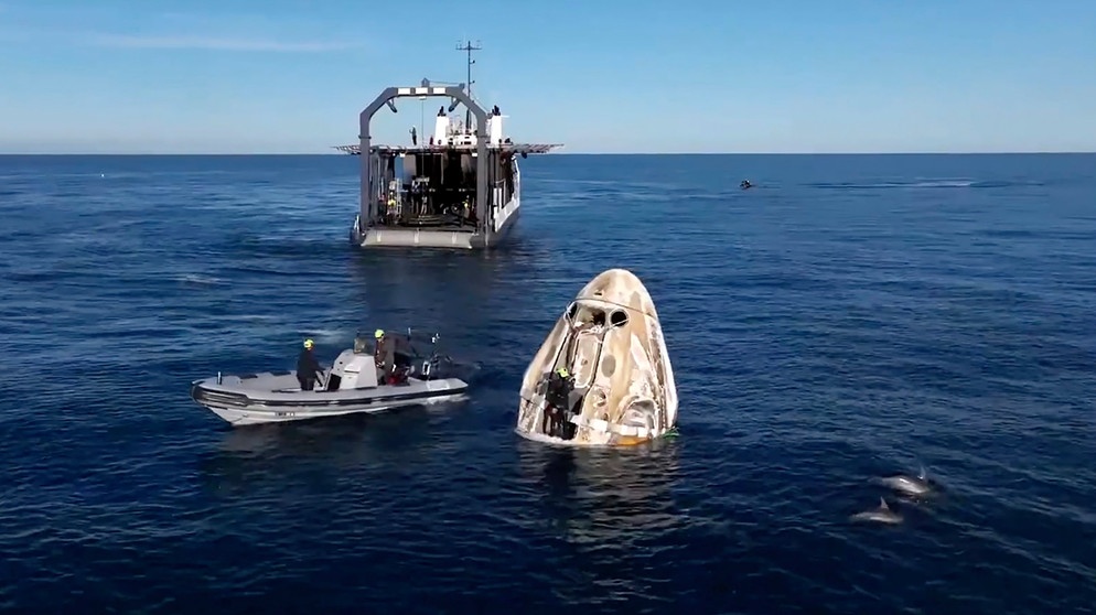 Dieses Bild aus einem von SpaceX veröffentlichten Video zeigt Delfine, die in der Nähe einer SpaceX-Kapsel «Crew Dragon» schwimmen, nach der Landung vor der Küste Floridas mit den NASA-Astronauten Suni Williams, Butch Wilmore und Nick Hague sowie dem russischen Kosmonauten Alexander Gorbunow. | Bildquelle: dpa-Bildfunk/Uncredited