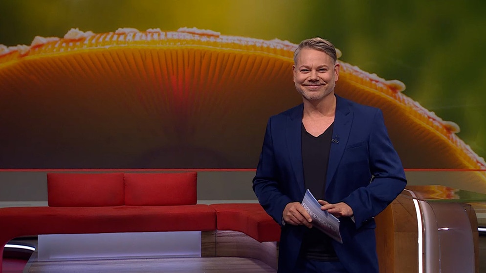Moderator Tobias Burkert moderiert die Frankenschau aktuell | Bildquelle: BR