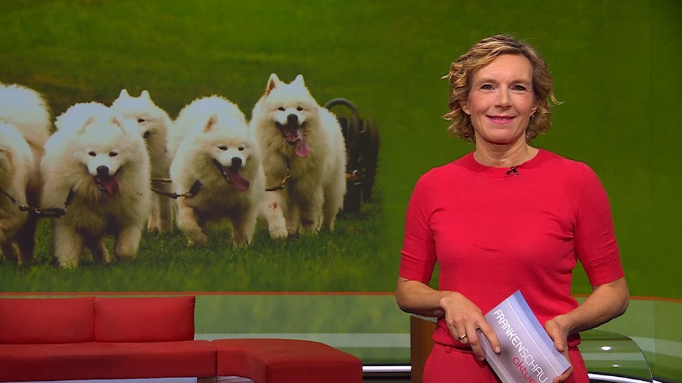 Moderatorin Julia Büchler in der Frankenschau aktuell vom 15. November | Bildquelle: BR
