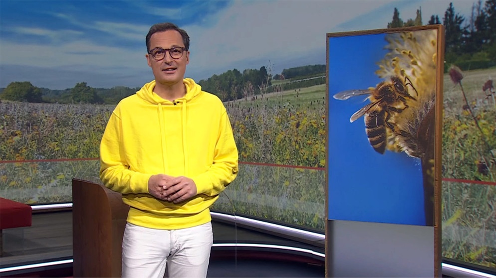 Moderator Rüdiger Baumann | Bildquelle: BR