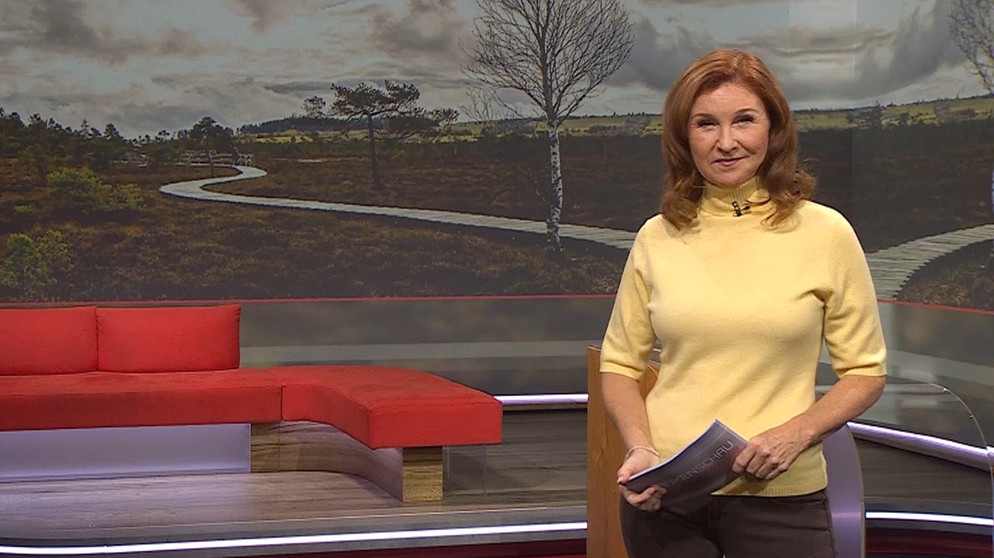 Moderatorin Karin Schubert in der Frankenschau aktuell vom 16. November | Bildquelle: BR