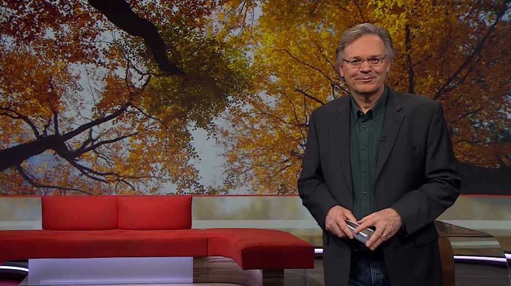 Moderator Charly Hilpert in der Frankenschau aktuell vom 23. November | Bildquelle: BR