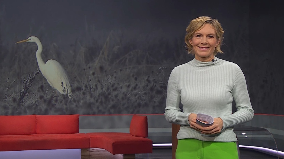 Moderatorin Julia Büchler in der Frankenschau aktuell vom 19. Dezember | Bildquelle: BR