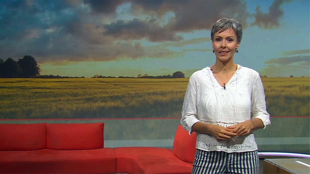 Moderatorin Dagmar Fuchs | Bildquelle: BR