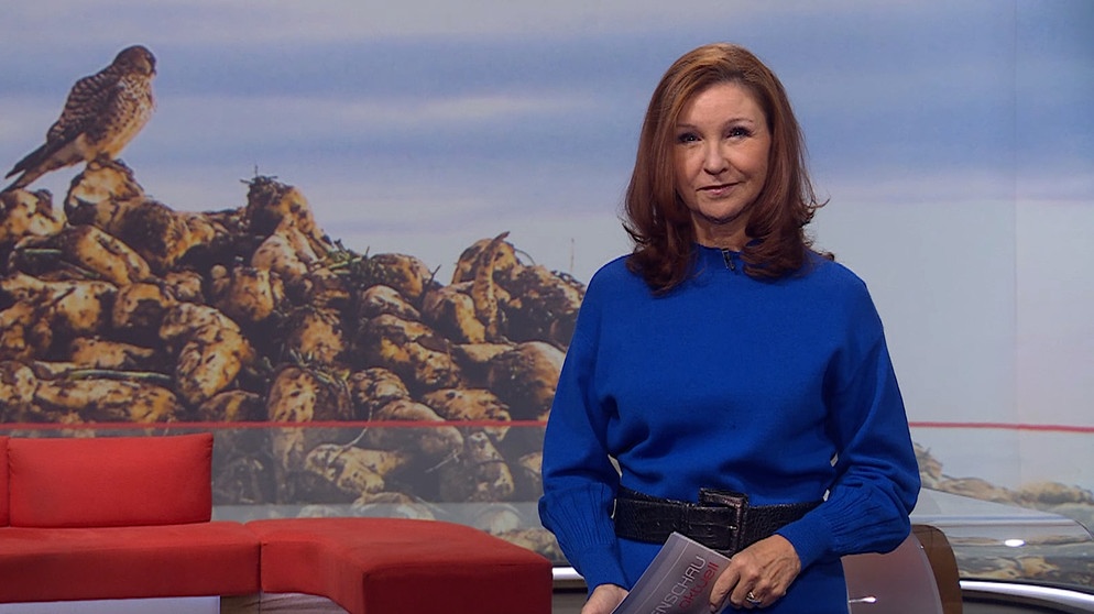 Moderatorin Karin Schubert in der Frankenschau aktuell vom 4. Dezember | Bildquelle: BR