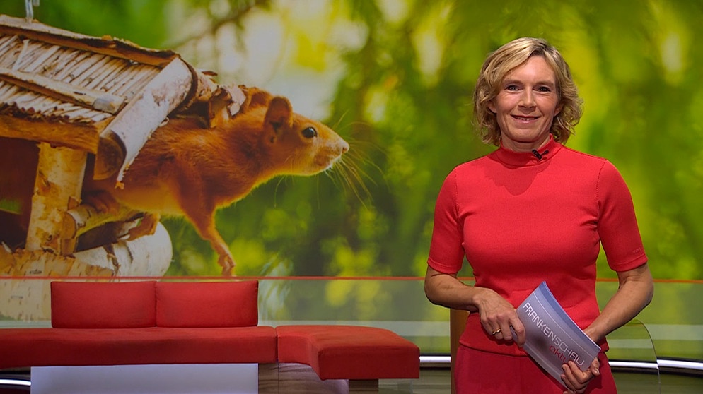 Moderatorin Julia Büchler in der Frankenschau aktuell vom 10. Oktober | Bildquelle: BR
