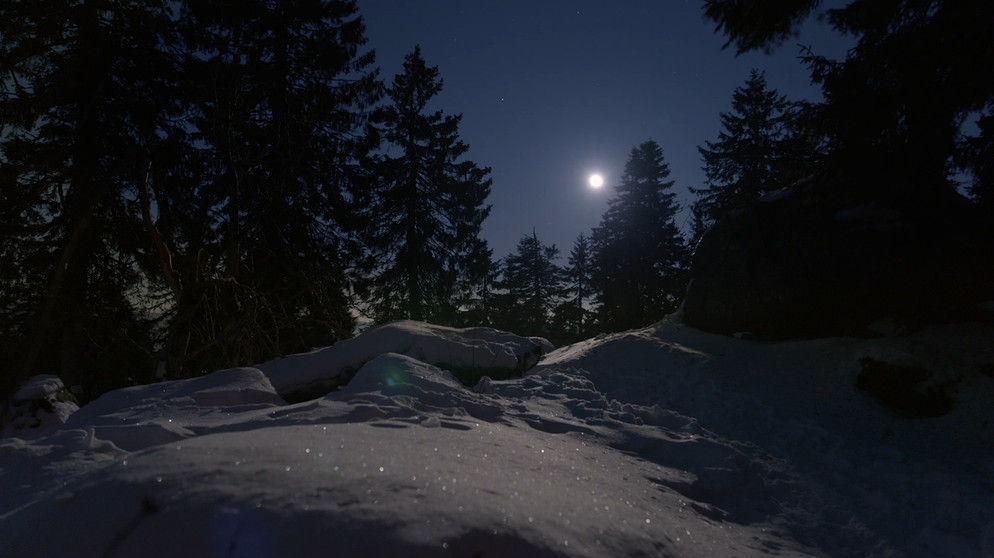 Mond auf dem Ochsenkopf | Bildquelle: BR
