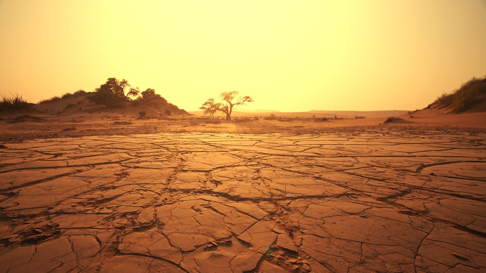 Trockener Boden in der Namib Wüste im Südwesten Afrikas | Bildquelle: stock.adobe.com/Galyna Andrushko