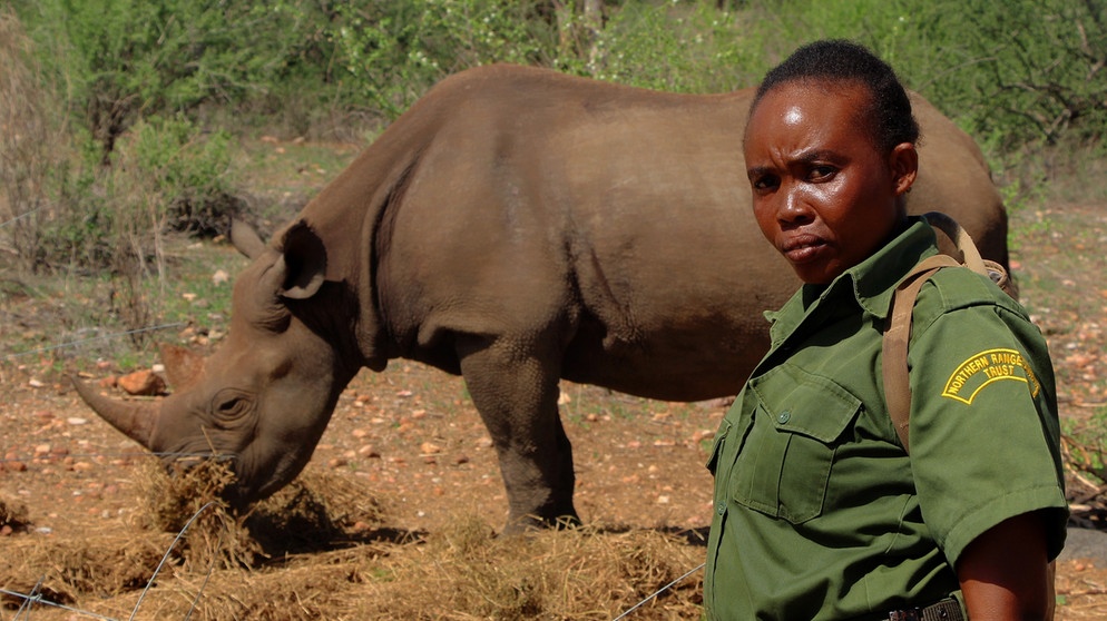 Nashorn in der Nashorn-Überwachungsstation in Samburu in Kenya  | Bildquelle: picture alliance / AA | Andrew Wasike