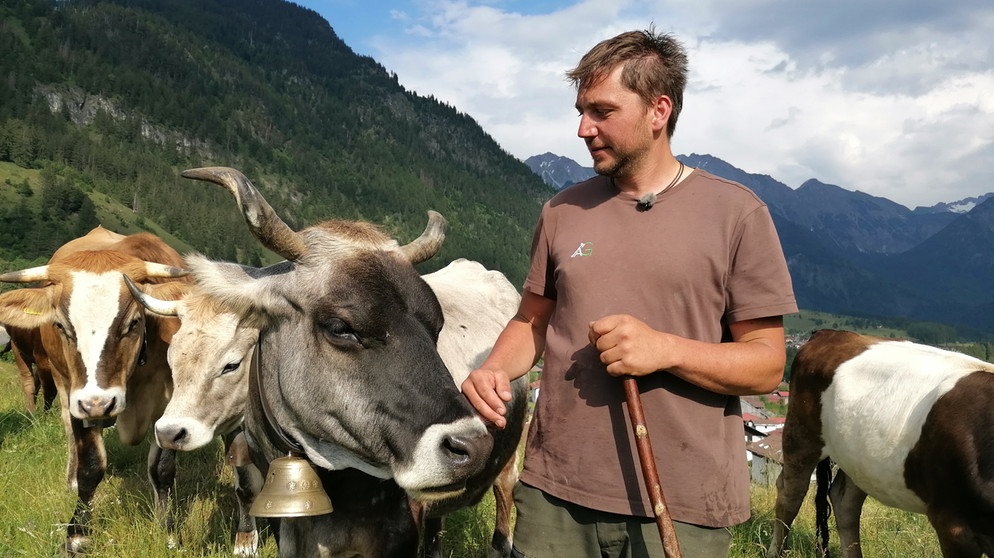 Christian Schratz und seiner Leitkuh Afra steht einer der steilsten-Alp-Auftriebe im Allgäu bevor. Es geht auf die Gehrenalpe hinauf, die 70 Jahre lang brach lag und die der 36jährige Christian vor sieben Jahren wieder urbar machte. Afra ist mit 15 Jahren die Herdenälteste. Es ist ungewiss, ob sie den steilen Pfad hinauf noch einmal schafft.  | Bildquelle: BR/ Brigitte Kornberger
