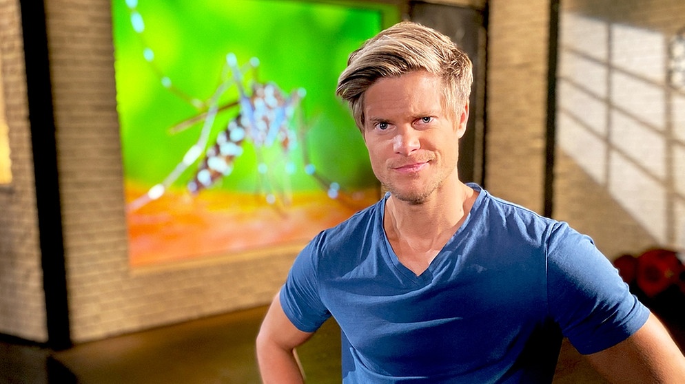 "Gut zu wissen"-Moderator Philip Häusser fragt nach, ob in Deutschland wieder die asiatische Tigermücke aufgetaucht ist.  | Bildquelle: BR/Gut zu wissen